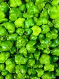 Pimenta de Cheiro